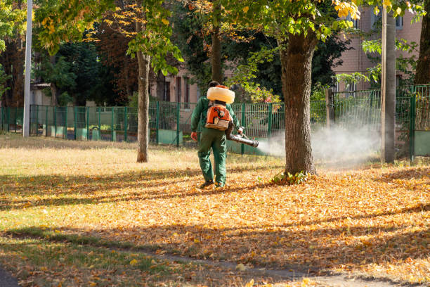 Professional Pest Control in Fort Clark Springs, TX